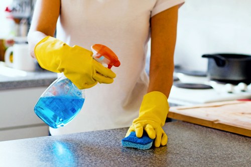 Detailed carpet cleaning process for homes and offices in Lambeth