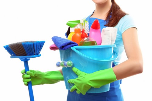 Local move in cleaning service preparing a bathroom in Lambeth
