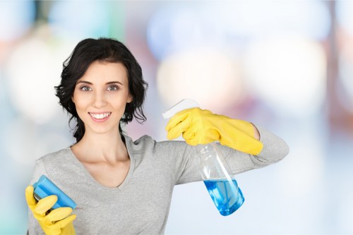 Targeted stain treatment for carpets and soft furnishings in Lambeth