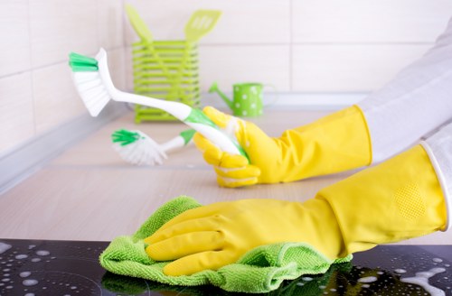 Deep cleaning a kitchen oven and racks