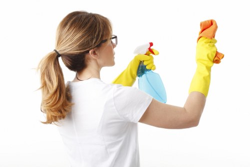 Gutter clearance service for flats and mixed-use buildings in Lambeth